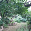 아로마힐링 이미지