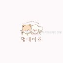 멍데이즈 | 멍데이즈 애견유치원&amp;애견호텔 가봤는데 정말 만족스러웠다