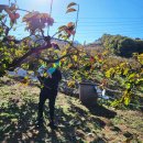 영우농원 이미지