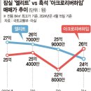 &#34;생활편의보다 한강 조망&#34; … 잠실 뛰어넘은 흑석동 집값 이미지