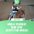 세종시 학생들은 말을 타며 호연지기를 배워요!