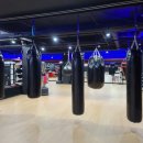 김일권 챔프복싱 이미지