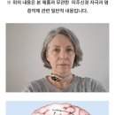 에너라이프