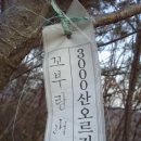 양평-용문-용문-8 이미지