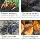 에잇코너스 이미지
