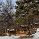 용천농장 | 나혼자산다 양평 옥자연 백패킹 캠핑장 알아보기