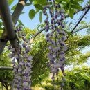 다비농장 이미지