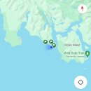 핫 스프링스 코브 투어 Tofino Hot springs Cove Tour 후기ㅣCox Bay beachㅣ Ucluelet Lighthouse Loop