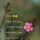 글루아