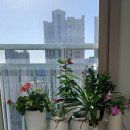 햇살가득한의원 이미지