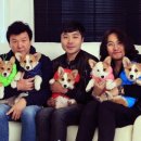 주병진 카카오 검색결과