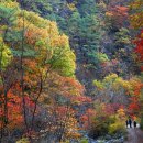 10월 19일 파로호 비경 비수구미 단풍과 화천강 산소길, 화악산 곡운구곡 단풍(일정 수정) 이미지