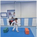 인성튼튼태권도 이미지