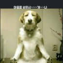 놀자 - 부평구 열우물로 26 | 놀자