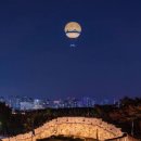 07/22(수) 수원화성팔달산야간산행[약지대장님] 이미지
