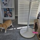 홍성종합동물병원 이미지