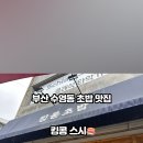 킹콩스시 이미지