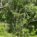 신계가든민박 이미지