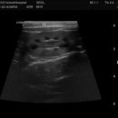 부곡동물병원 이미지