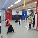 효경희대석사태권도 이미지