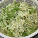 정종농장 이미지