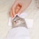 심쿵마사지