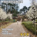 연화공원 화장실 | 아산 지산공원 근처 목련원 아이랑 다녀온 후기 벚꽃 개화상황