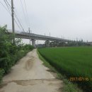 수원-0151 Daum카페