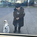 옴니버스 캠핑장 이미지