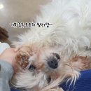 쓰담 이미지
