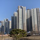 일직수변공원 이미지