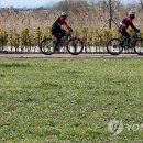 낙동강관리본부 화명생태공원 12 이미지