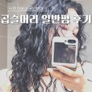 빠마 | 수영 미용실-히피펌 유명한 국민빠마에서 곱슬머리 일반펌 후기(탈매직준비)
