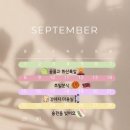 강아지테마미용실 이미지