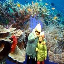 토속어류생태복원체험관 이미지