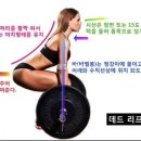 웰니스스포츠 - 달성군 가창로216길 55 | 웰니스스포츠