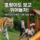 백두대간 | [가족 나들이 추천] 호랑이도 보고 뛰어놀자! 백두대간수목원 가족 여행 후기