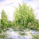 시선미술학원 이미지