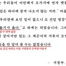 요술사