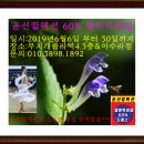 윤컬렉션 이미지