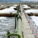 하수농장 이미지