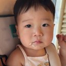 고기굽는풍경365