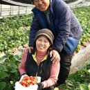 신토불이농장 이미지