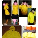 간지몰 이미지