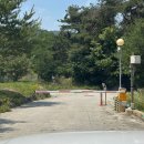숲속의안뜰 | 용인단풍숲캠핑장 악어 7번 사이트 후기, 경기도 용인 수영장 캠핑장 추천