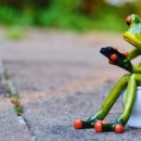 배변의기술 이미지