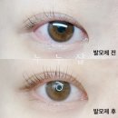 이수우 | 속눈썹 영양제 / 속눈썹 발모제 리얼 후기