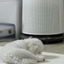 스테이버디 이미지