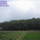 질가마골 이미지