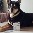 오르헬스케어 이미지